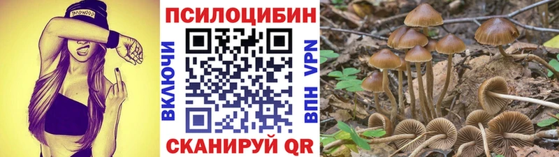 магазин продажи   Подольск  Псилоцибиновые грибы Cubensis 