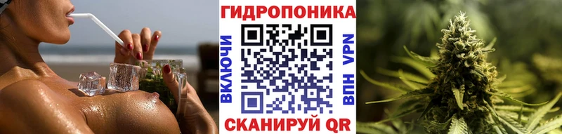 Конопля сатива  Подольск 